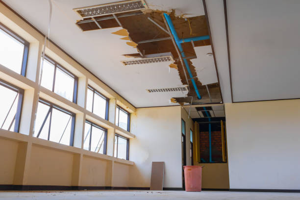 Best Local water damage restoration  in Claremont, NC