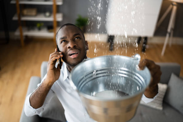 Best Professional water damage repair  in Claremont, NC
