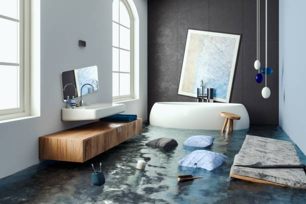 Best Water damage restoration experts  in Claremont, NC