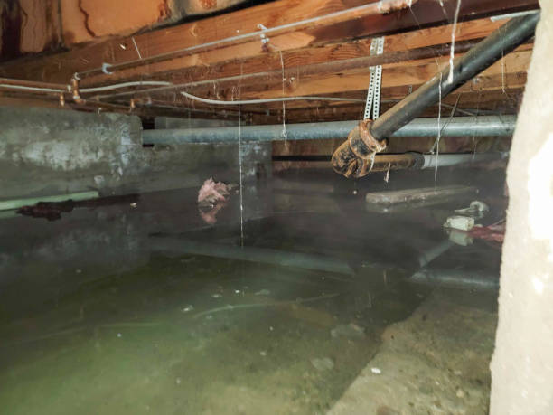 Best Flood restoration services  in Claremont, NC
