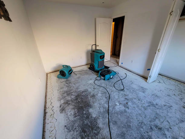 Best Flooded house restoration  in Claremont, NC