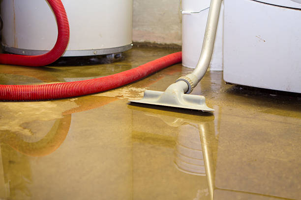 Best Water damage restoration near me  in Claremont, NC