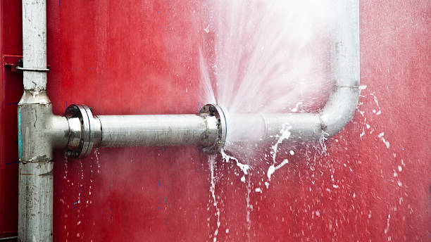 Best Carpet water damage restoration  in Claremont, NC